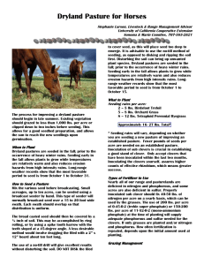 Dryland Pasture for Horses
