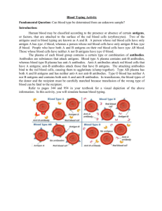 Blood Typing Activity Fundamental Question: Can blood type be