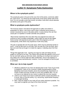 Leaflet 10 Symphysis Pubis Dysfunction