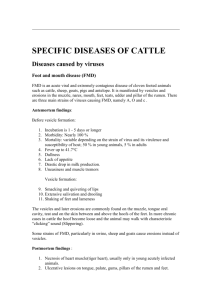 specific viral disease of cattle