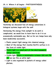 Chapter 6 Notes ch6photosynthesisNotes