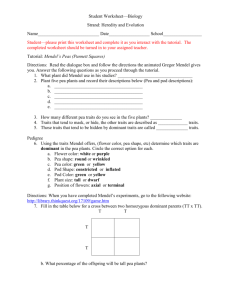 Heredity and Evolution Worksheets