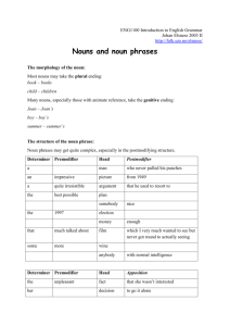 Nouns and noun phrases