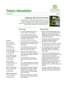 Tolano Newsletter
