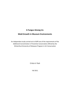 Mold Growth and Prevention in Museum