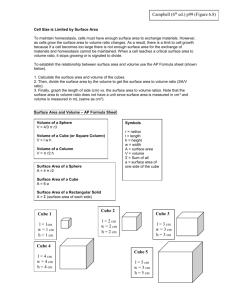 cell size worksheet ws volume surface area of cells 1415