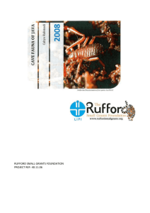 Detailed Final Report - The Rufford Foundation
