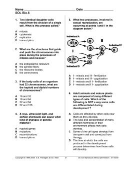 Chromosomal Abnormalities Worksheet
