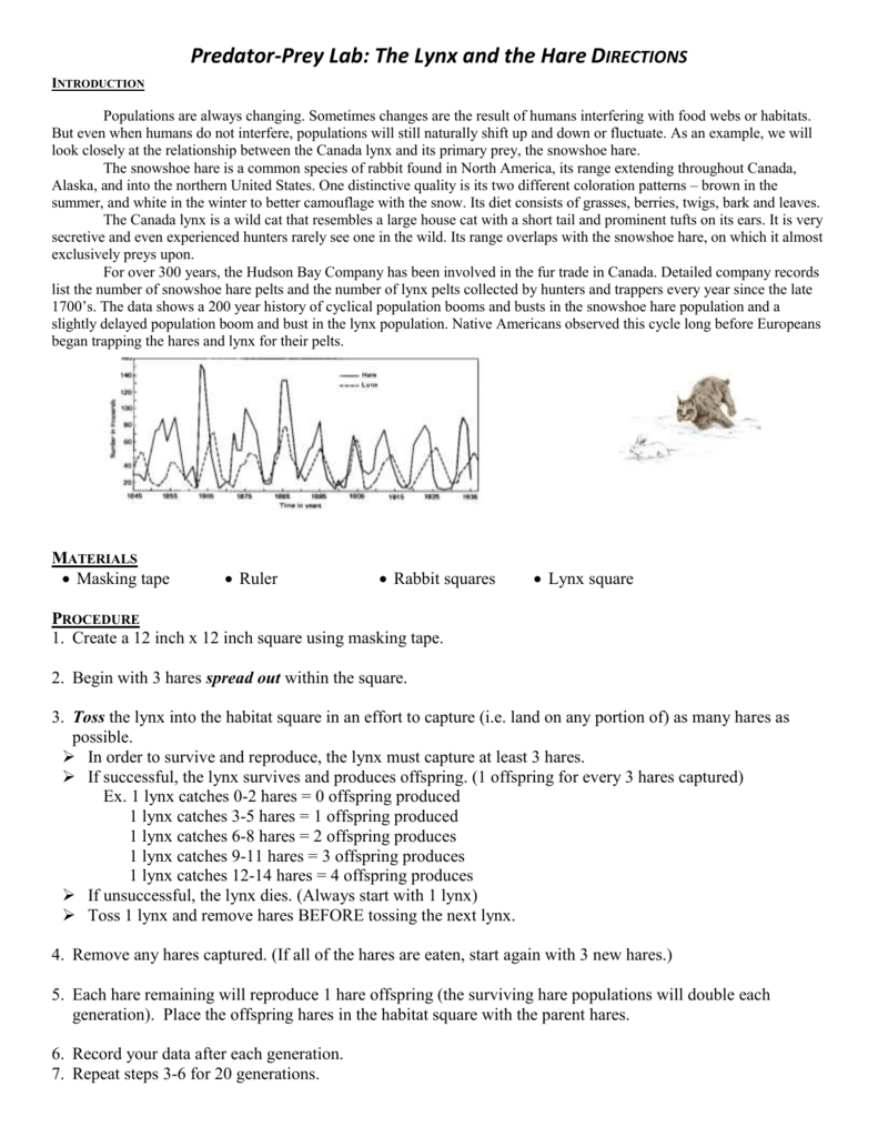 Predator Prey Worksheet Elementary