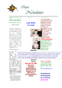 INPUT-Newsletter-summer-2003-input