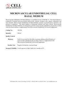 microvascular endothelial cell