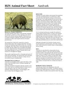 Honolulu Zoo Aardvark Fact Sheet