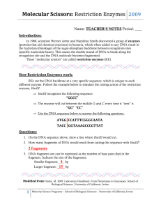 Teacher`s Notes - University of California, Irvine