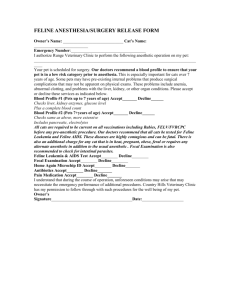 FELINE ANESTHESIA/SURGERY RELEASE FORM Owner`s Name