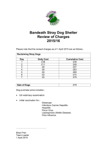 Bandeath Stray Dog Shelter