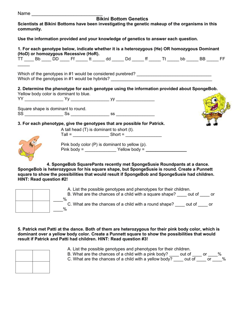 worksheet Spongebob Genetics Worksheet Grass Fedjp Worksheet Study Site