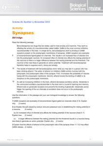 Synapses worksheet
