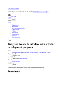 Badgers: licence to interfere with setts for development purposes