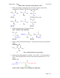 Amino Acids_1_KEY