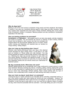 Canine Barking - Liles Animal Clinic