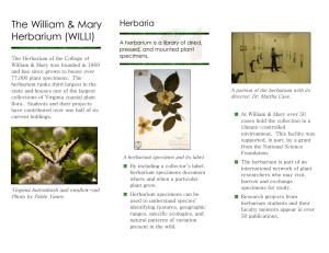 The Herbarium at the College of William and Mary houses over