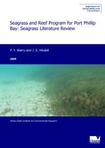 Seagrass_Literature_Review - Department of Environment