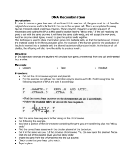 Recombinant DNA Activity