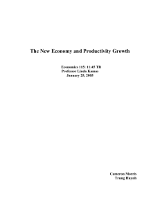 The New Economy and Productivity Growth