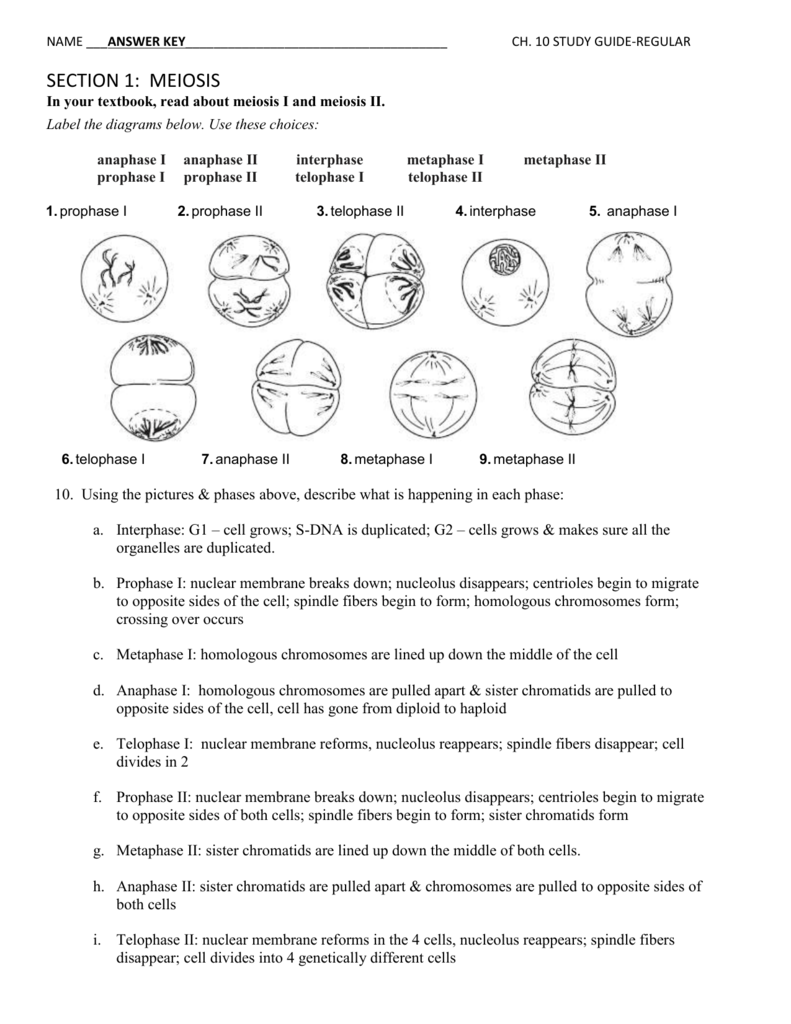 Study guide template