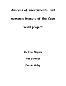 Cape wind environmental issues