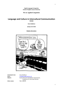 Language and Culture in Intercultural Communication