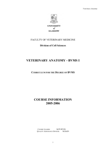 course in veterinary anatomy