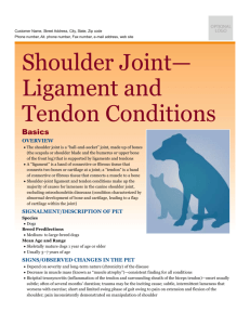 shoulder_joint-ligament_and_tendon_conditions