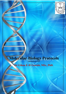Molecular Biology Protocols