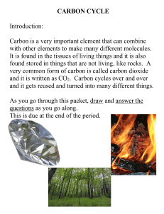 CARBON CYCLE - Mo`Hearn Biology