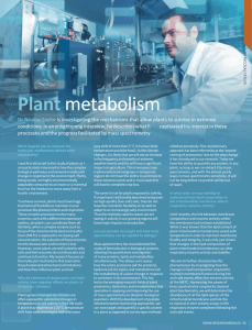 Plant Metabolism International Innovation