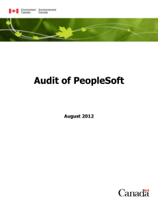 Audit of PeopleSoft