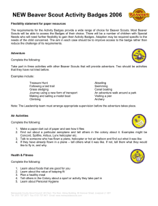 NEW Beaver Scout Activity Badges 2006