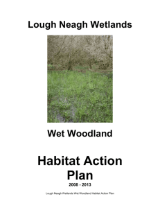 5.10. Wet Woodland Habitat Action Plan