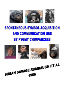 The Savage-Rumbaugh study Sarah
