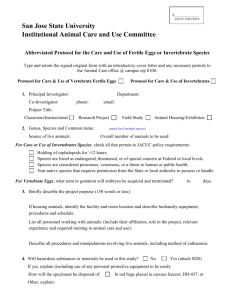 Abbreviated Protocol for Invertebrate Species or Fertile Eggs