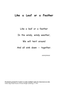 Like a Leaf or a Feather