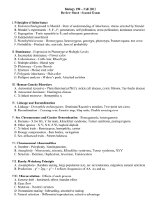Review Sheet - University of San Diego