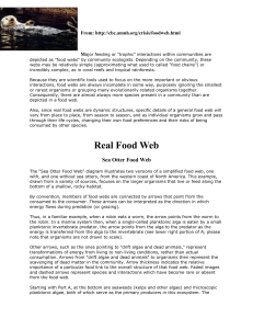 Real Food Web