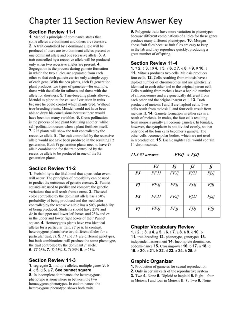 worksheet. Meiosis Vocabulary Worksheet. Grass Fedjp Worksheet Study Site