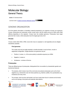 molecular_general_theory_genome_organis