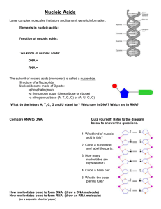 DNA, RNA and Protein Synthesis Packet