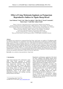 Effect of concentrate mixture processing on the ruminal protozoa in