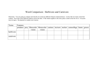Word Comparison: Herbivore and Carnivore