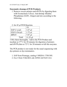 Enzymatic cleanup of PCR Products
